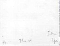 Historisches Foto (Rückseite) von Cycloprosopon octonarium (Schweitzer and Feldmann, 2010) (NHMW-AFW-GEO-BACHMAYER-FOTO-1990-0041-0077)
